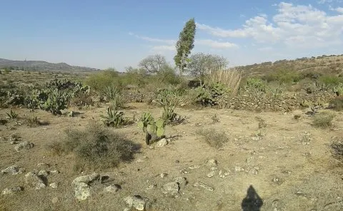 SJR-2012 Terreno en venta, Nopala de Villagran